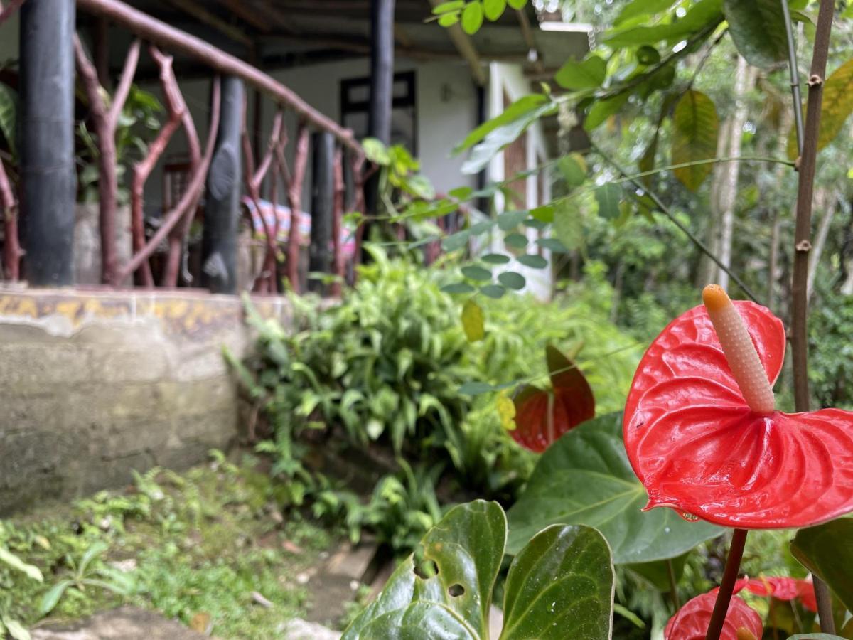 Ferienwohnung Sri Bhavan Ella Exterior foto