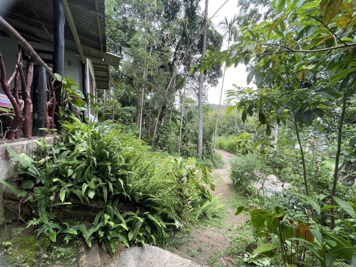 Sri Bhavan Ella Exterior foto